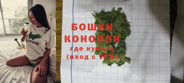 гашик Новодвинск