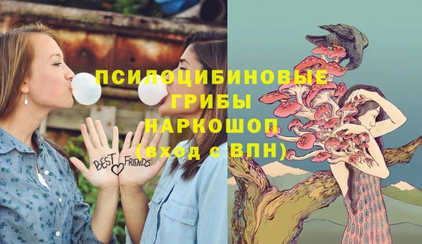 хмурый Весьегонск