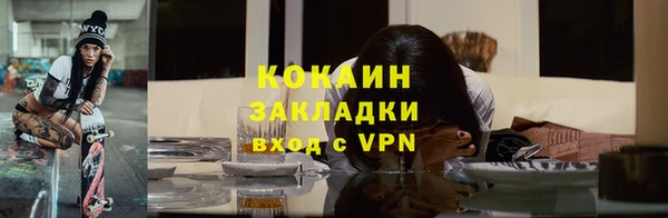 гашик Новодвинск