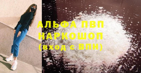 гашик Новодвинск