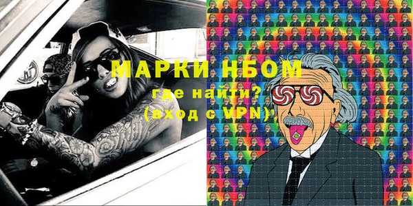 гашик Новодвинск