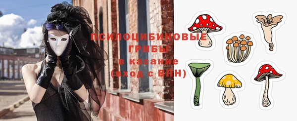 гашик Новодвинск