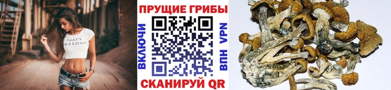 продажа наркотиков  Новоульяновск  МЕГА сайт  Галлюциногенные грибы ЛСД 